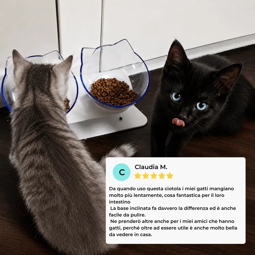 YanaBowl | Per il benessere del tuo gatto