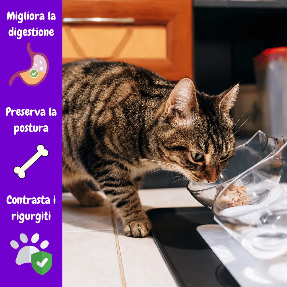 YanaBowl | Per il benessere del tuo gatto