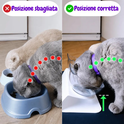 YanaBowl | Per il benessere del tuo gatto